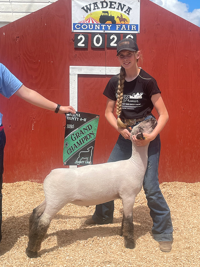 Grand Champion Market Lamb, Wadena County, MN Grand Champion Market Lamb, Wadena County, MN