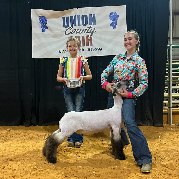 Reserve Grand Champion Wether Dam, Union County Livestock Show Reserve Grand Champion Wether Dam, Union County Livestock Show