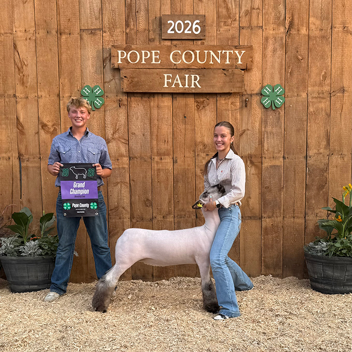 Grand Champion Breeding Ewe, Pope County, MN Grand Champion Breeding Ewe, Pope County, MN