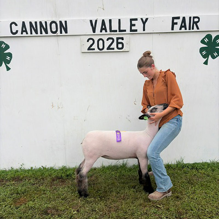 Supreme Champion Ewe, Cannon Valley Fair, MN Supreme Champion Ewe, Cannon Valley Fair, MN